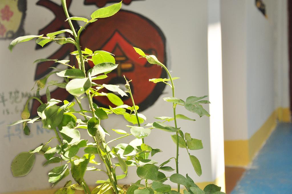 Xi'An Maoshe Youth Hostel 外观 照片